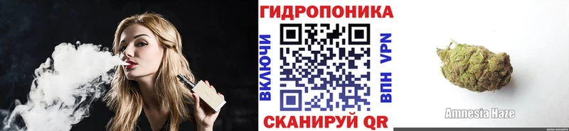 Бошки Шишки семена Дмитров